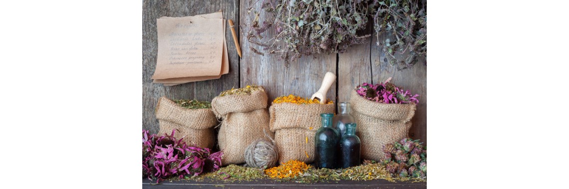 Tendenze emergenti nel mercato delle erbe officinali all'ingrosso, analisi e previsioni