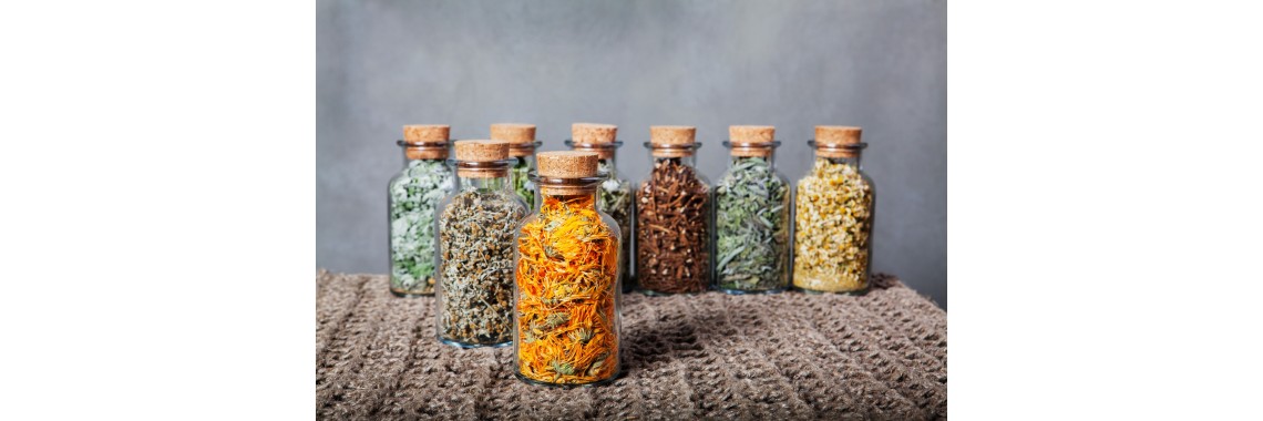 Consigli erboristici per la salute mentale: rimedi naturali per il benessere