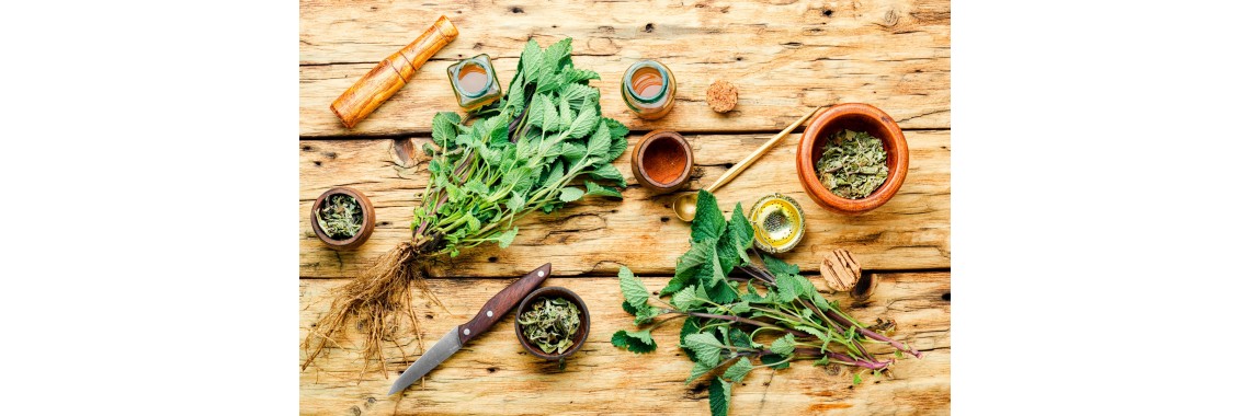 Sfruttare il potenziale delle erbe officinali in cucina: piatti deliziosi e salutari