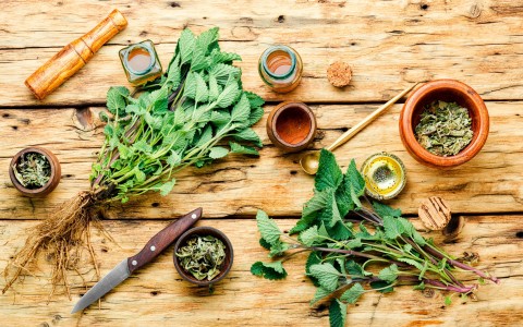 Sfruttare il potenziale delle erbe officinali in cucina: piatti deliziosi e salutari Sfruttare il potenziale delle erbe officinali in cucina: piatti deliziosi e salutari