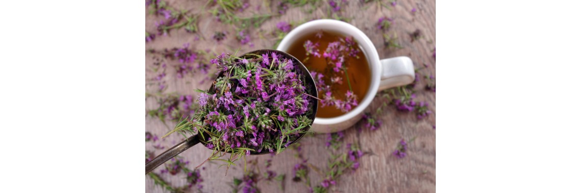 Erba erica: usi, proprietà e guida alla coltivazione - erbologica