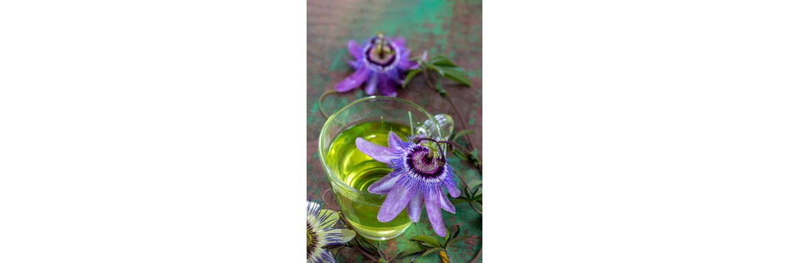 Tisana alla passiflora: benefici per il relax e il sonno
