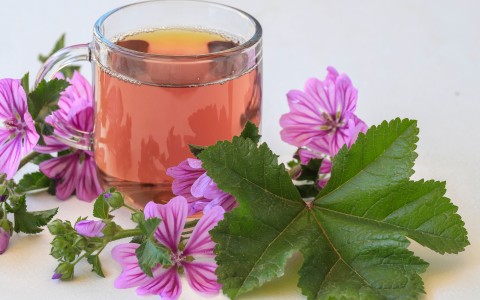Benefici e preparazione della tisana di fiori di malva un rimedio naturale per il benessere Benefici e preparazione della tisana di fiori di malva un rimedio naturale per il benessere