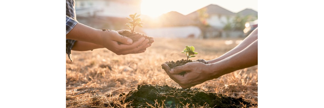 Vivere verde: integrare il benessere personale con la sostenibilità | erbologica