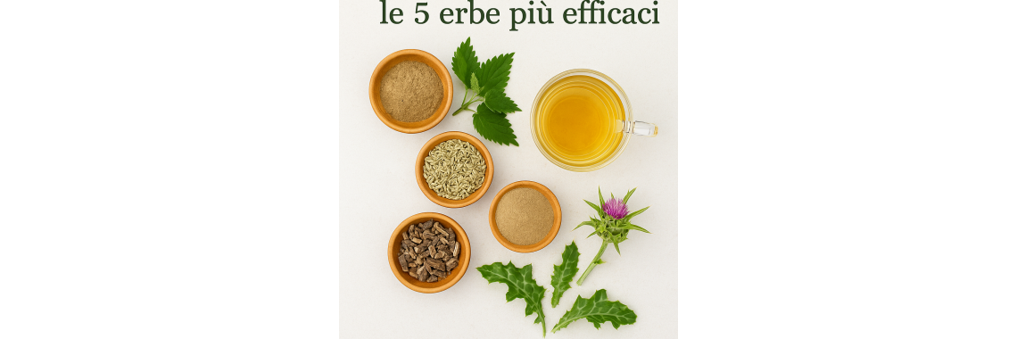 Detox di primavera le 5 erbe più efficaci