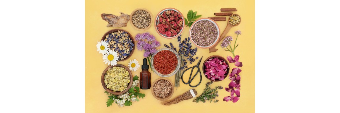 Digestione lenta le piante che aiutano