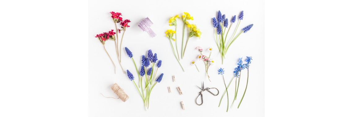 Scoperta primaverile: erbe officinali, ricette e segreti per il benessere