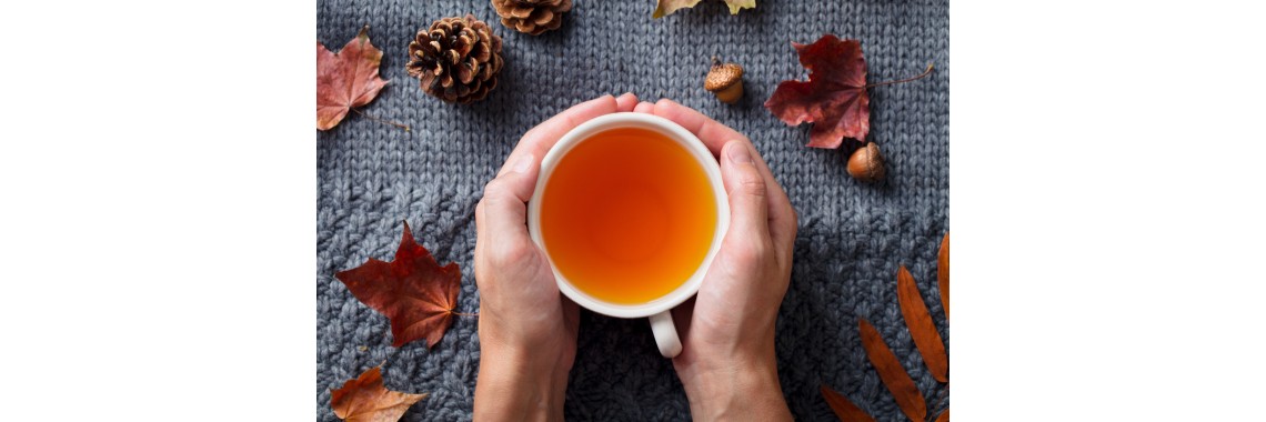 Mindfulness e tisane: un viaggio sensoriale per il benessere quotidiano