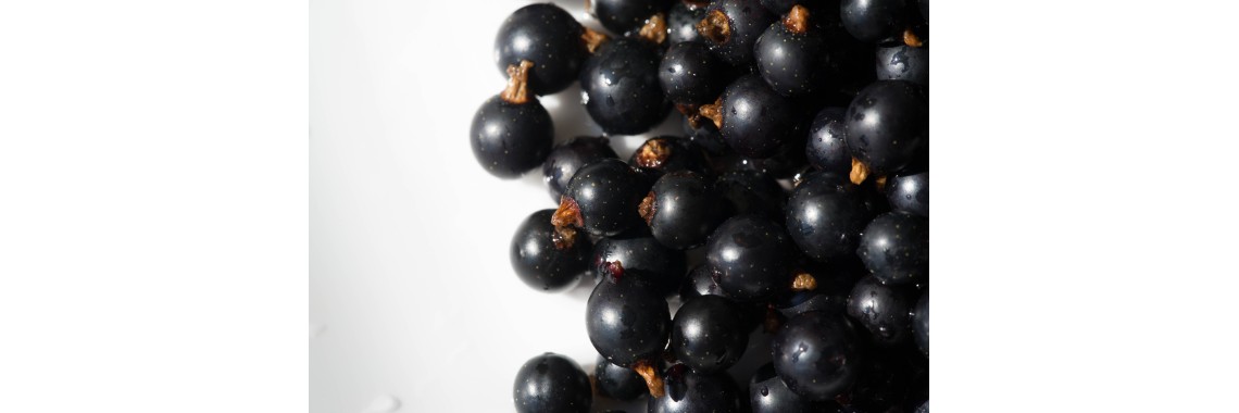Ribes nero per allergie