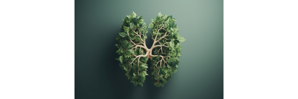 Depurare e curare i reni con rimedi naturali