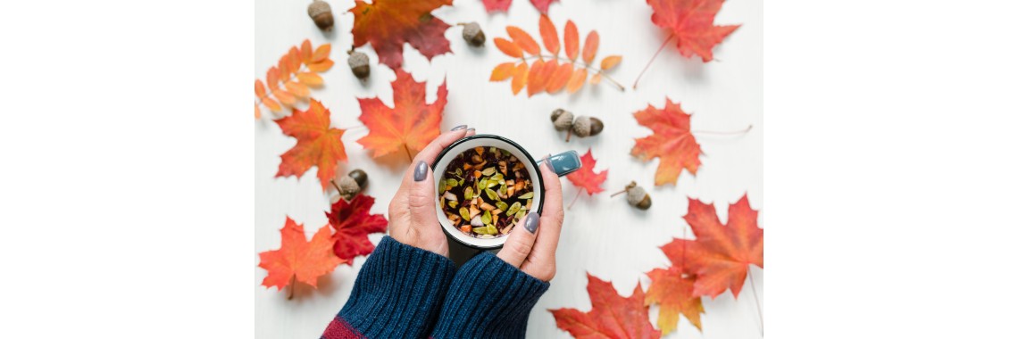 Detox autunnale: come prepararsi all'inverno con erbe e piante