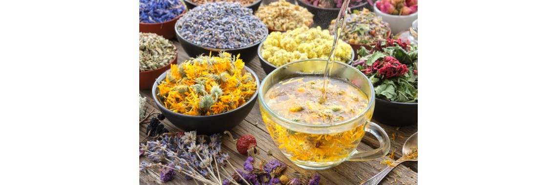 Disintossicarsi dopo le vacanze scoprite il potere curativo delle erbe medicinali per il vostro corpo