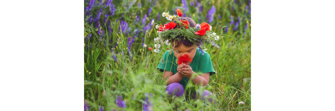 Erbe medicinali per la salute dei bambini