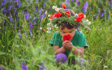Erbe medicinali per la salute dei bambini Erbe medicinali per la salute dei bambini