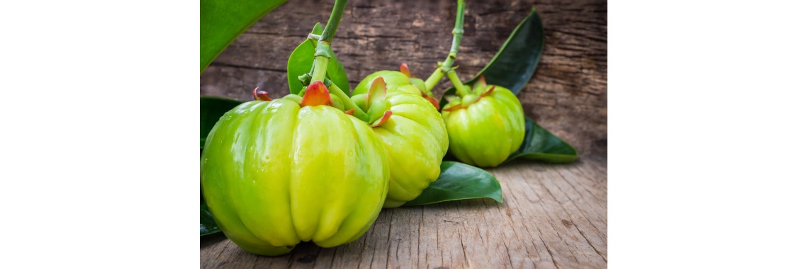 Garcinia Cambogia un potente integratore per la perdita di peso