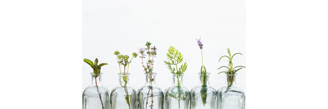 Grappe aromatiche per l'estate: le migliori erbe da utilizzare