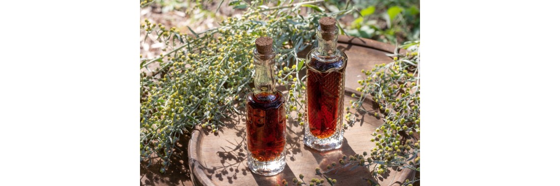 Il liquore di artemisia perfetto, la ricetta passo dopo passo