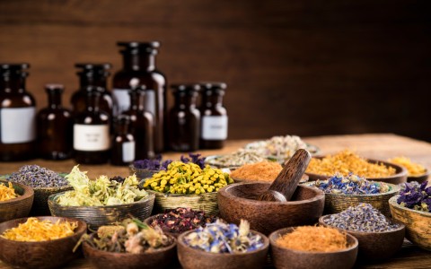 Piante medicinali che fanno bene al cervello Piante medicinali che fanno bene al cervello