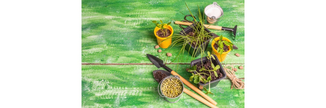 Preparati erboristici contro i parassiti di orto e frutteto