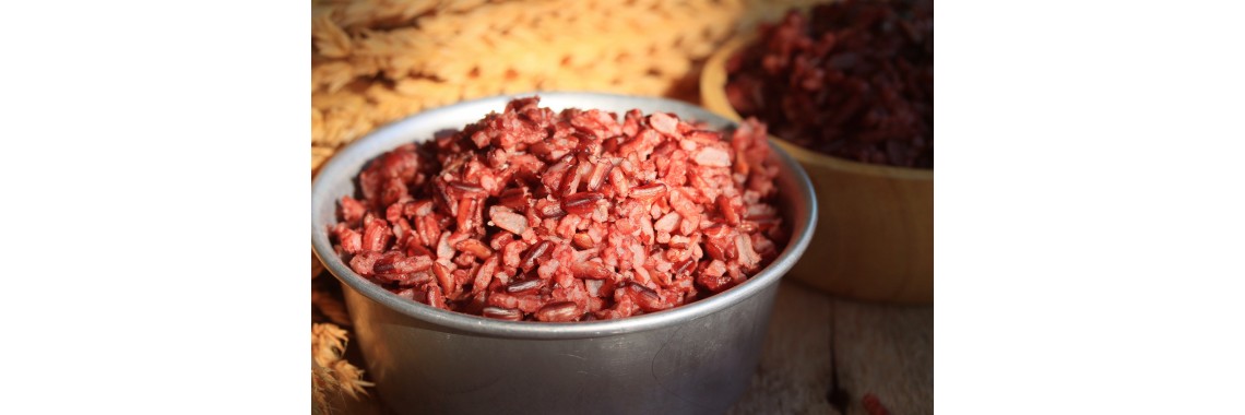 Riso rosso fermentato usi e benefici