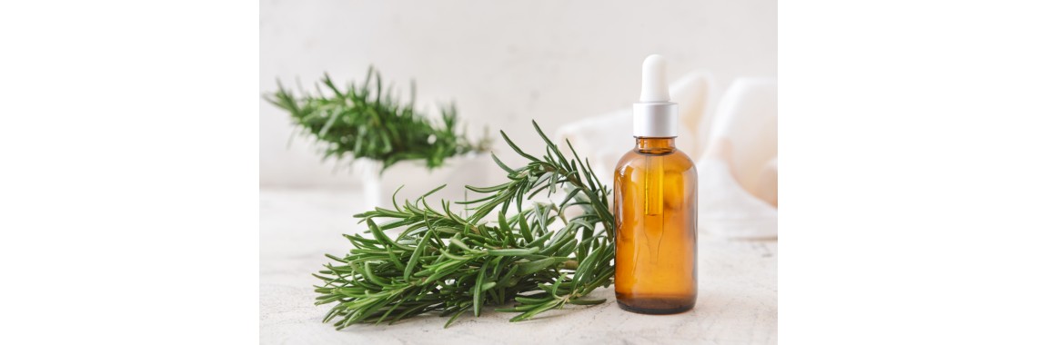 Rosmarino tintura madre: rimedio naturale per cefalee, digestione e supporto epatico