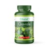 Graviola in capsule  Graviola in capsule
