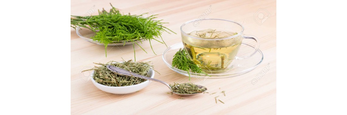 Equiseto tisana e i suoi benefici