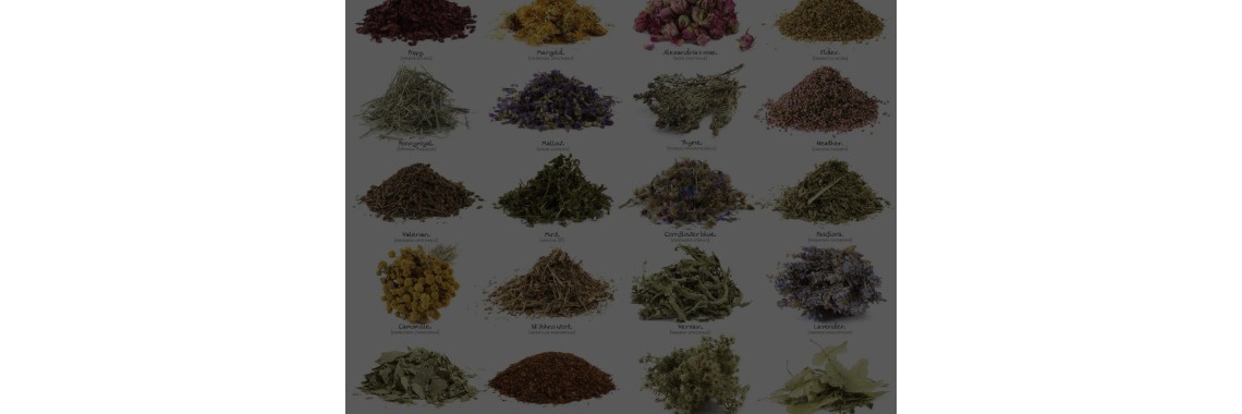 Erbe officinali alleviano sintomi della gastrite e reflusso