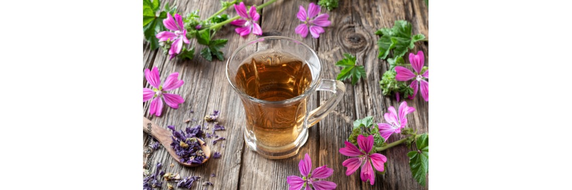 La guida definitiva alla tisana alla malva: Benefici, modalità di preparazione e ricette