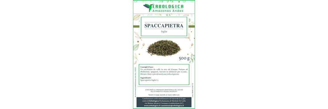 Piante che sciolgono i calcoli renali