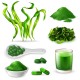 Spirulina in polvere Spirulina in polvere
