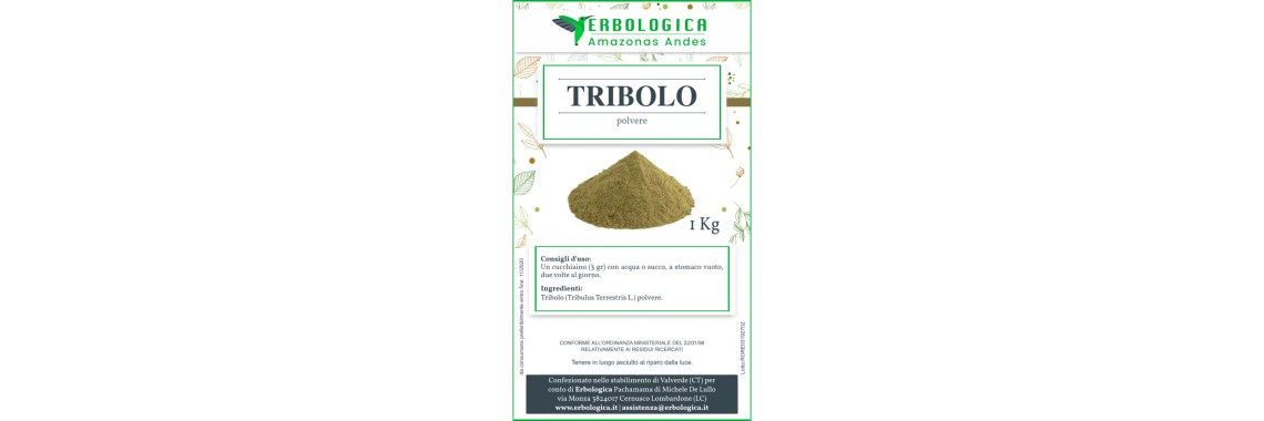 Tribulus terrestris