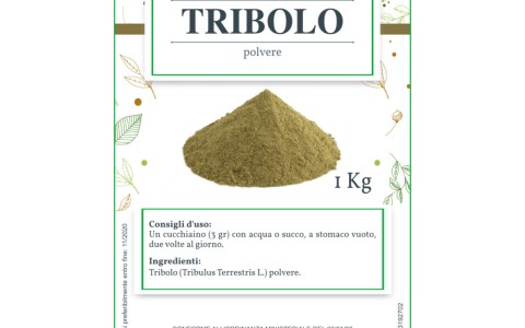 Tribulus terrestris Tribulus terrestris