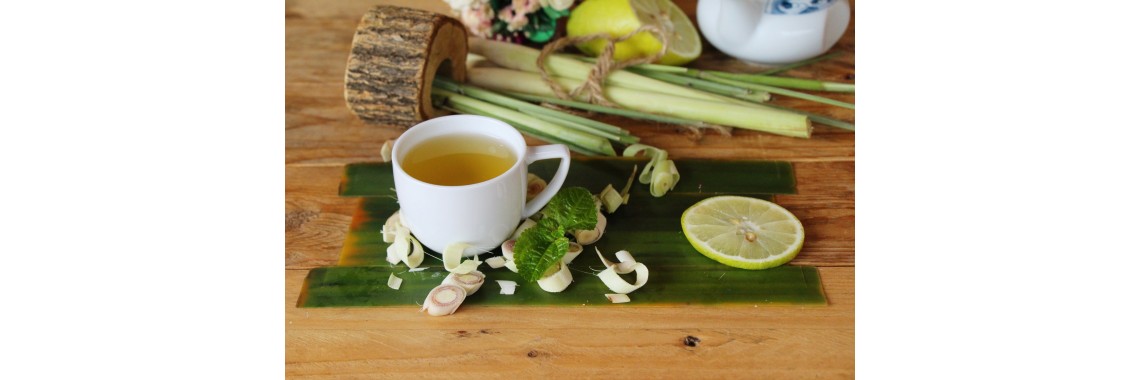 Citronella come usarla e i suoi benefici