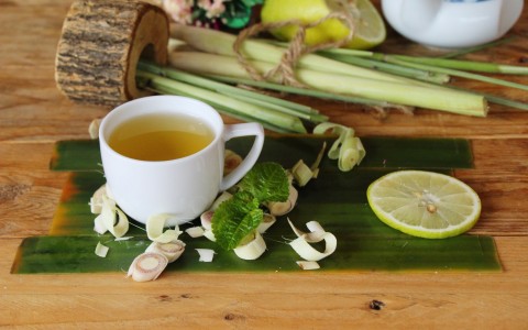 Citronella come usarla e i suoi benefici Citronella come usarla e i suoi benefici