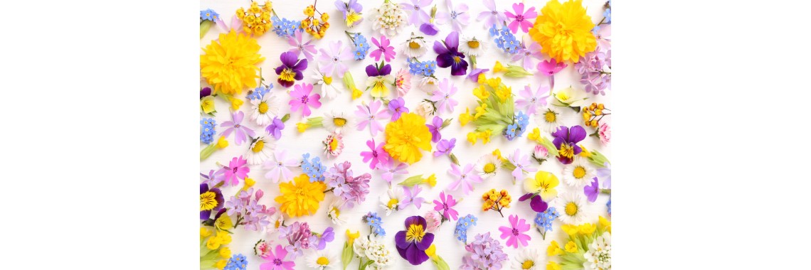 Fiori commestibili: L'ingrediente segreto per cocktail unici