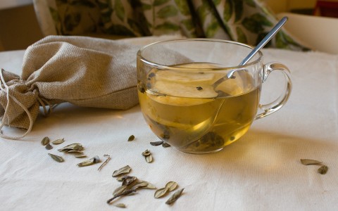 Gelsomino per tisana usi e benefici Gelsomino per tisana usi e benefici