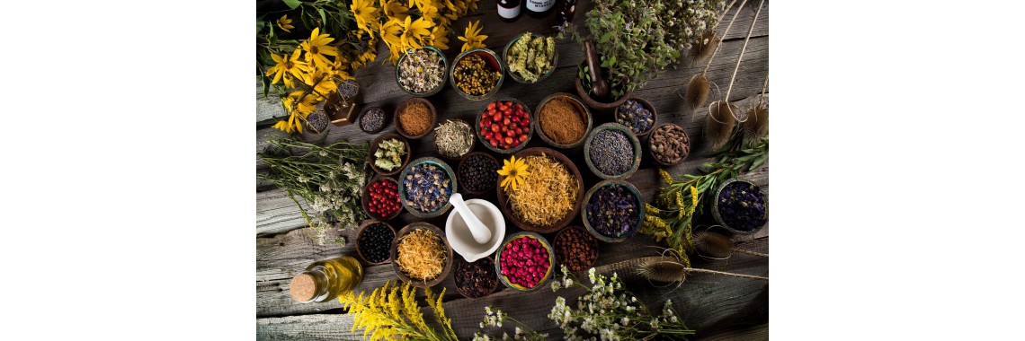 Potenziare la salute delle donne sfruttare i benefici delle erbe medicinali