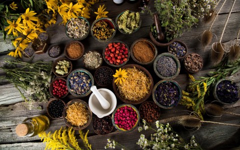 Potenziare la salute delle donne sfruttare i benefici delle erbe medicinali Potenziare la salute delle donne sfruttare i benefici delle erbe medicinali