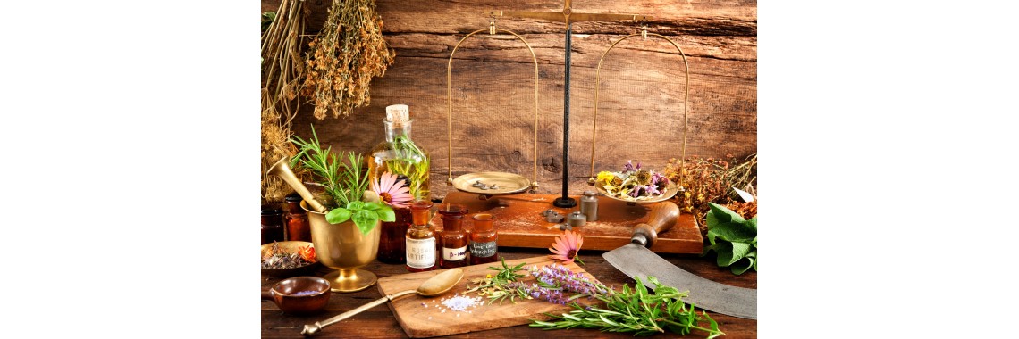 Le erbe officinali che aiutano la stanchezza mentale e la concentrazione