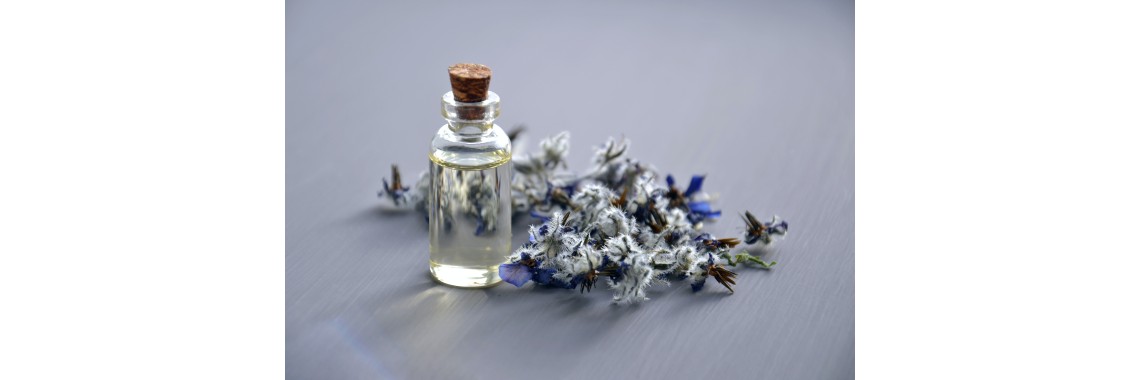 Erbe officinali che curano la dermatite