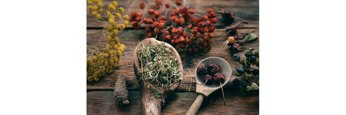 Le 11 erbe officinali per l'inverno