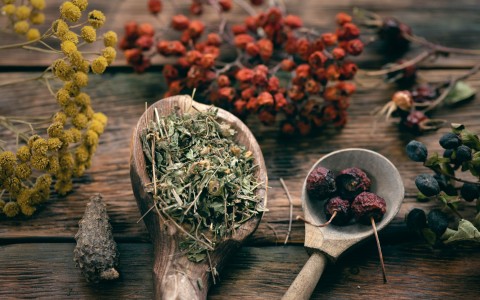 Le 11 erbe officinali per l'inverno Le 11 erbe officinali per l'inverno