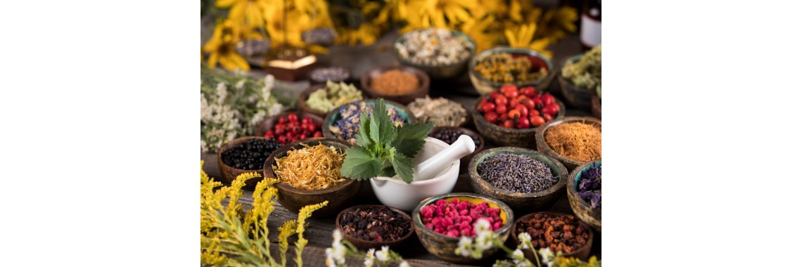 Erbe e tisane che curano la febbre