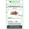 Genziana radice intera  Genziana radice intera