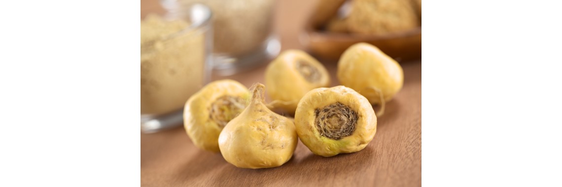 Scopri i benefici della maca delle ande: energia e salute naturale | erbologica