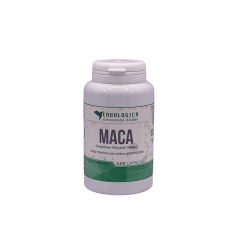 Maca peruviana capsule Maca peruviana capsule