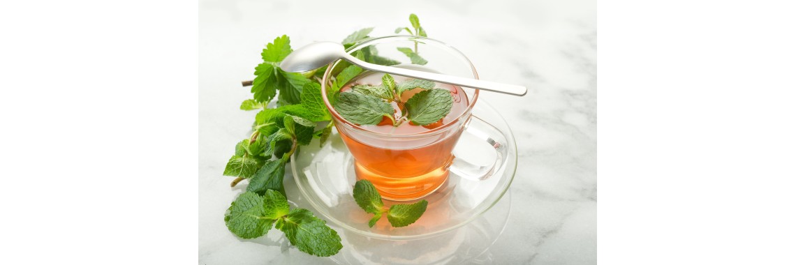 Menta tisana e i suoi benefici