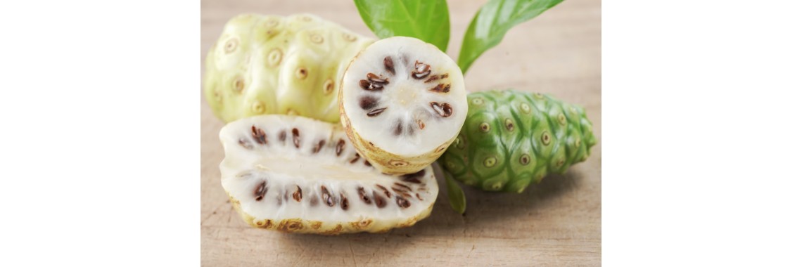 Noni proprietà la pianta esotica che combatte stanchezza e debolezza