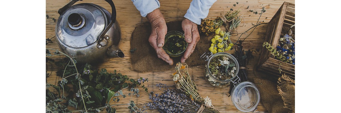 Produttori di erbe medicinali